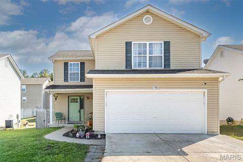 Photo of 196 Equestrian Drive, Winfield, MO 63389 (MLS # 25065496)