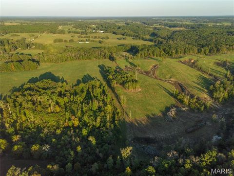 Photo of 000 Dixon Road, Licking, MO 65542 (MLS # 25068450)