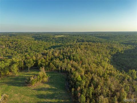 Tiny photo for 000 Dixon Road, Licking, MO 65542 (MLS # 25068450)