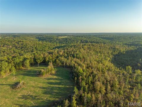 Tiny photo for 000 Dixon Road, Licking, MO 65542 (MLS # 25068450)