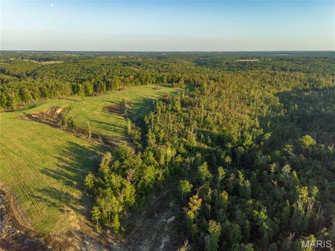 Tiny photo for 000 Dixon Road, Licking, MO 65542 (MLS # 25068450)