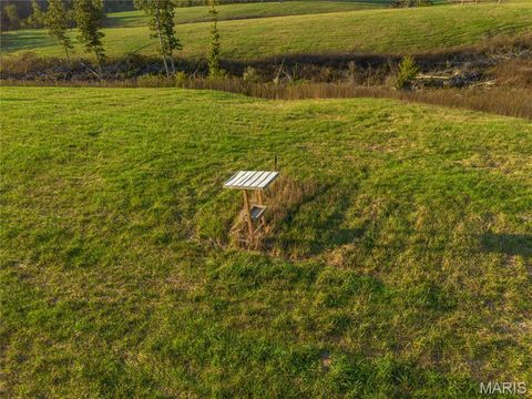 Tiny photo for 000 Dixon Road, Licking, MO 65542 (MLS # 25068450)
