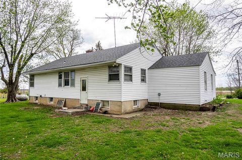 Tiny photo for 21061 Pike 307, Bowling Green, MO 63334 (MLS # 26023133)