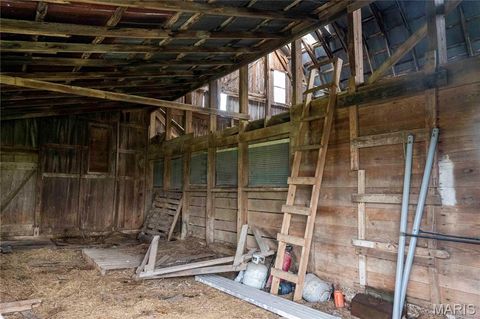 Tiny photo for 21061 Pike 307, Bowling Green, MO 63334 (MLS # 26023133)