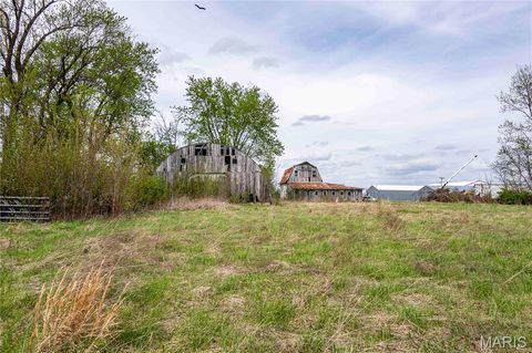 Tiny photo for 21061 Pike 307, Bowling Green, MO 63334 (MLS # 26023133)