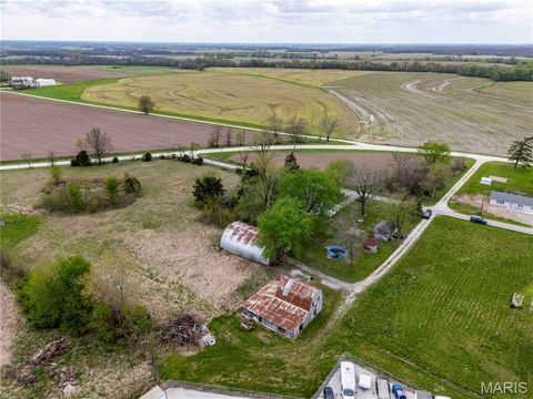 Tiny photo for 21061 Pike 307, Bowling Green, MO 63334 (MLS # 26023133)