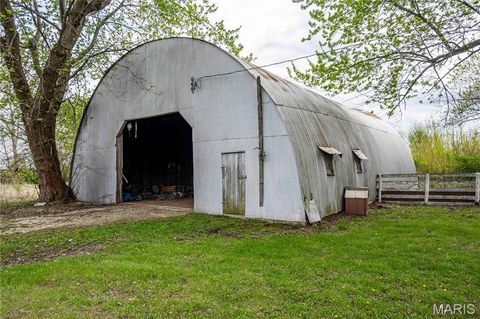 Tiny photo for 21061 Pike 307, Bowling Green, MO 63334 (MLS # 26023133)