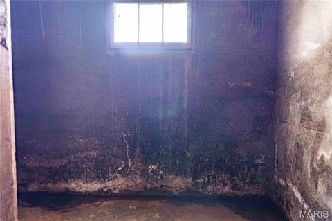 Tiny photo for 21061 Pike 307, Bowling Green, MO 63334 (MLS # 26023133)