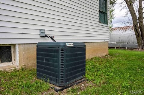 Tiny photo for 21061 Pike 307, Bowling Green, MO 63334 (MLS # 26023133)