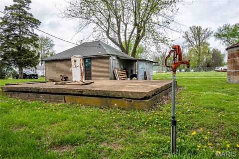 Tiny photo for 21061 Pike 307, Bowling Green, MO 63334 (MLS # 26023133)