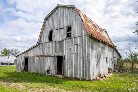 Tiny photo for 21061 Pike 307, Bowling Green, MO 63334 (MLS # 26023133)