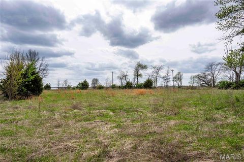 Tiny photo for 21061 Pike 307, Bowling Green, MO 63334 (MLS # 26023133)
