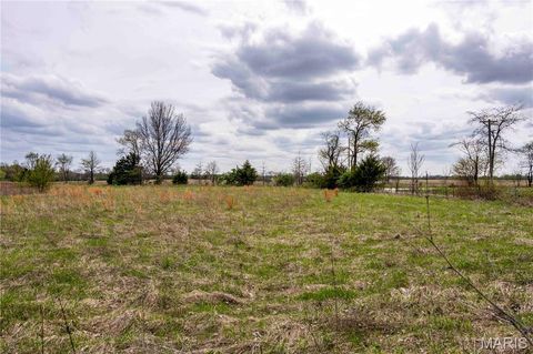 Tiny photo for 21061 Pike 307, Bowling Green, MO 63334 (MLS # 26023133)