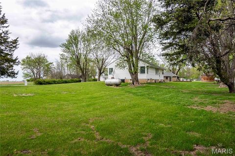 Tiny photo for 21061 Pike 307, Bowling Green, MO 63334 (MLS # 26023133)