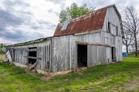 Tiny photo for 21061 Pike 307, Bowling Green, MO 63334 (MLS # 26023133)