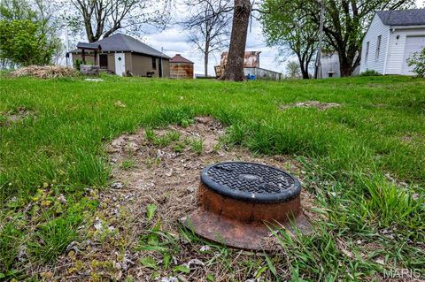 Tiny photo for 21061 Pike 307, Bowling Green, MO 63334 (MLS # 26023133)