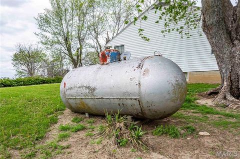 Tiny photo for 21061 Pike 307, Bowling Green, MO 63334 (MLS # 26023133)