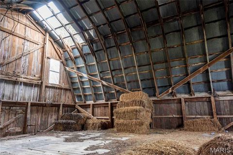 Tiny photo for 21061 Pike 307, Bowling Green, MO 63334 (MLS # 26023133)