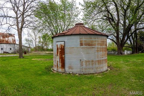 Tiny photo for 21061 Pike 307, Bowling Green, MO 63334 (MLS # 26023133)