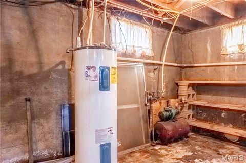 Tiny photo for 21061 Pike 307, Bowling Green, MO 63334 (MLS # 26023133)