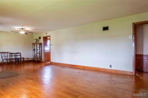 Tiny photo for 21061 Pike 307, Bowling Green, MO 63334 (MLS # 26023133)