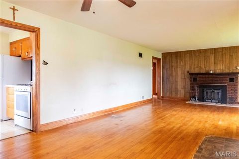 Tiny photo for 21061 Pike 307, Bowling Green, MO 63334 (MLS # 26023133)