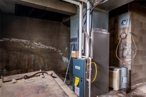 Tiny photo for 21061 Pike 307, Bowling Green, MO 63334 (MLS # 26023133)