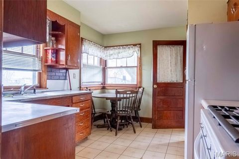 Tiny photo for 21061 Pike 307, Bowling Green, MO 63334 (MLS # 26023133)