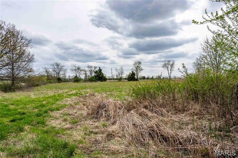 Tiny photo for 21061 Pike 307, Bowling Green, MO 63334 (MLS # 26023133)