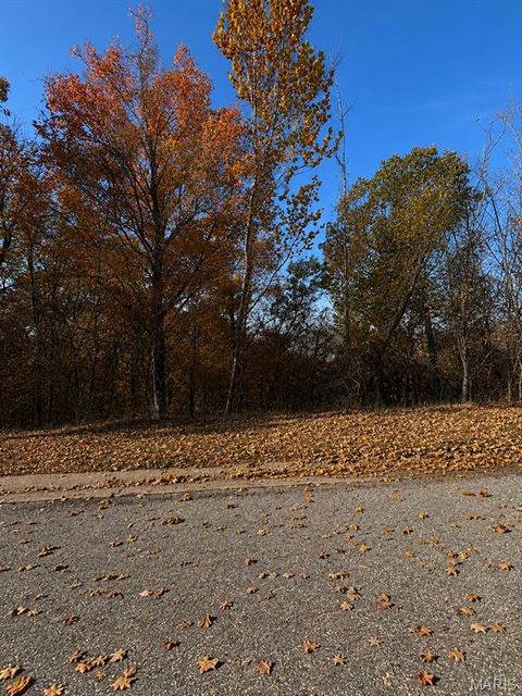 Tiny photo for 1133 Wings Road, St Albans, MO 63073 (MLS # 26047031)