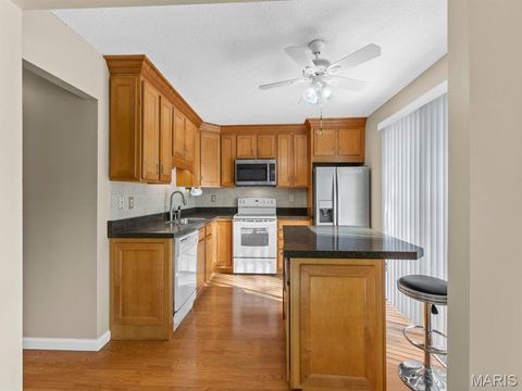 Tiny photo for 13338 Hiddendale Lane, Ballwin, MO 63021 (MLS # 25077508)