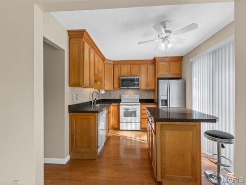 Tiny photo for 13338 Hiddendale Lane, Ballwin, MO 63021 (MLS # 25077508)