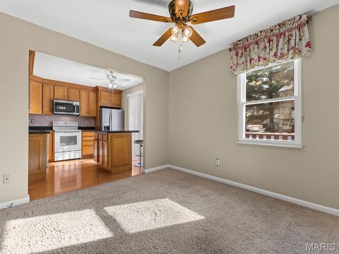 Tiny photo for 13338 Hiddendale Lane, Ballwin, MO 63021 (MLS # 25077508)