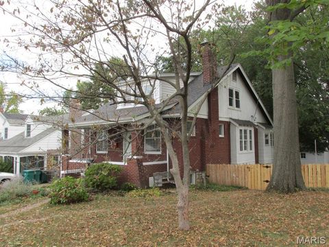 Photo of 400 Marion Avenue, Webster Groves, MO 63119 (MLS # 25070606)