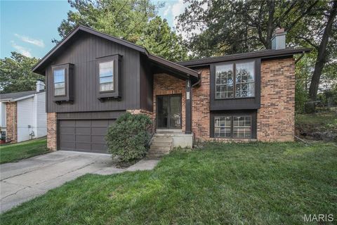 Photo of 648 Running Creek Drive, Ballwin, MO 63021 (MLS # 26020395)