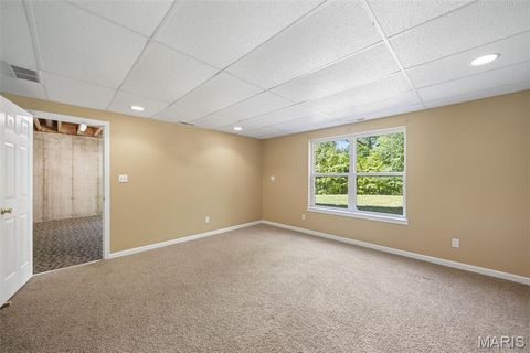 Tiny photo for 3556 Y Highway, Valles Mines, MO 63087 (MLS # 26025179)