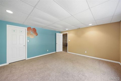 Tiny photo for 3556 Y Highway, Valles Mines, MO 63087 (MLS # 26025179)