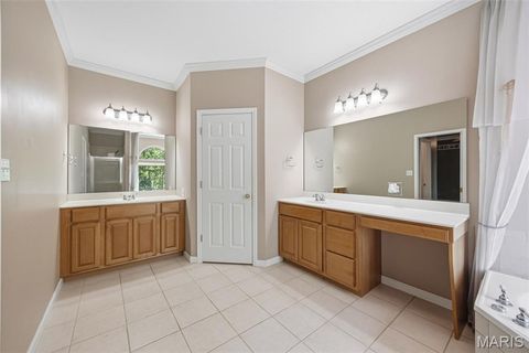 Tiny photo for 3556 Y Highway, Valles Mines, MO 63087 (MLS # 26025179)
