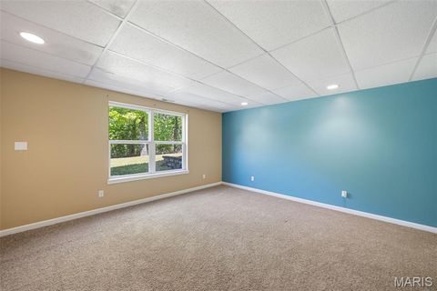 Tiny photo for 3556 Y Highway, Valles Mines, MO 63087 (MLS # 26025179)