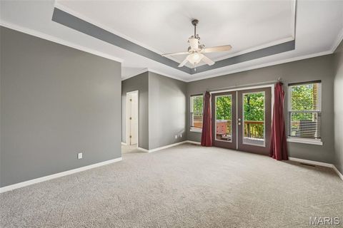 Tiny photo for 3556 Y Highway, Valles Mines, MO 63087 (MLS # 26025179)