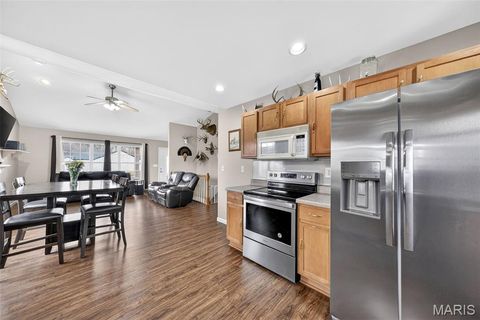 Tiny photo for 12 Comanche Court, Troy, MO 63379 (MLS # 26013440)