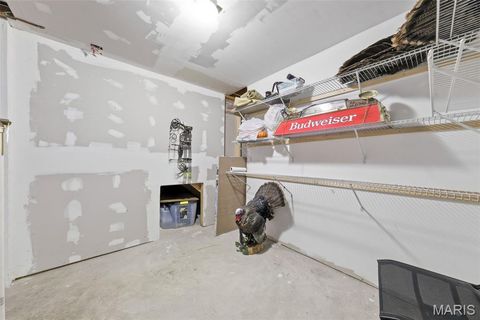 Tiny photo for 12 Comanche Court, Troy, MO 63379 (MLS # 26013440)