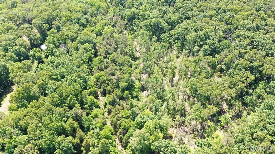 4-Acre Wooded Lot Near Montauk State Park & the Current River

This beautiful 4-acre wooded lot, located near 1394 County Road 6580, offers a rare opportunity to own land just minutes from Montauk State Park and the crystal-clear waters of the Current River. Whether you're looking to build a permanent residence or a weekend retreat, this property places you right in the heart of the Missouri Ozarks' best outdoor recreation.

The land has been recently surveyed and includes a recorded road easement for convenient access. Surrounded by mature timber and natural beauty, the property offers privacy and a peaceful setting ideal for nature lovers and outdoor enthusiasts.

Property Restrictions:

No mobile or manufactured homes are permitted

All homes must be site-built with a minimum of 1,500 square feet

Enjoy the tranquility of the woods while being close to fishing, hiking, camping, and floating opportunities. Don’t miss your chance to make this unique piece of the Ozarks your own.