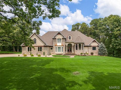 Photo of 20 Dumont Court, Foristell, MO 63348 (MLS # 26017162)