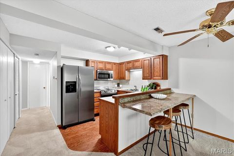 Tiny photo for 1307 Prospect Village Lane #C, Ballwin, MO 63021 (MLS # 25069551)