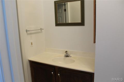 Tiny photo for 1019 Claytonbrook Drive, Ballwin, MO 63011 (MLS # 25070759)