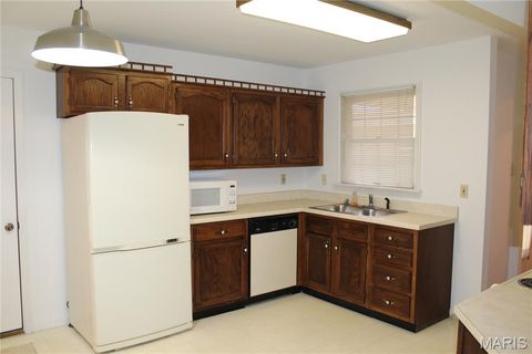 Tiny photo for 1019 Claytonbrook Drive, Ballwin, MO 63011 (MLS # 25070759)