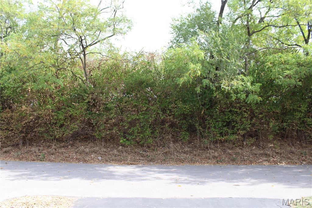 1019 Claytonbrook Drive