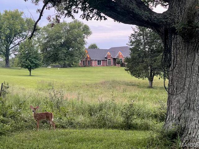 24185 Schuetzenground Road