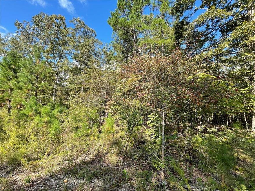 Woodland Heights Subdivision:  Now is your opportunity to build on this beautiful lot just minutes from Poplar Bluff, MO in scenic wooded area.  Lots range from 4.7 - 5 acres m/l.